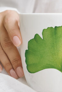 Emlux - logo and stationery